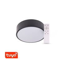 SMART Tuya LED svítidlo RENDO, 24W CCT kulaté, černé