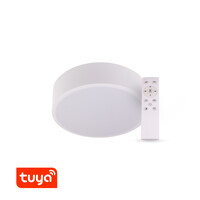 SMART Tuya LED svítidlo RENDO, 24W CCT kulaté, bílé