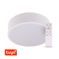 SMART Tuya LED svítidlo RENDO, 48W CCT kulaté, bílé