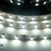 LED pásek vnitřní SQ3-300 záruka 3 roky, 12V, 4,8W/m, IP20 LED pásek vnitřní SQ3-300 záruka 3 roky, 12V, 4,8W/m, IP20 2