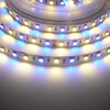 24V RGB+WW 14,4W vnitřní LED pásek záruka 3 roky 2