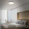 LED stropní svítidlo BRILONER, 24,5W, 240V, 2400lm, 3000K, černé 2