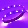 14W RGB SMD5050 LED pásek, 10mm, 60LED/m, 24VDC, IP20 2