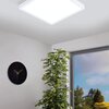 Bílý CCT přisazený LED panel FUEVA-Z, 19,5W, 220-240V, IP44, 285x285mm, 98849 Bílý CCT přisazený LED panel FUEVA-Z, 19,5W, 220-240V, IP44, 285x285mm, 98849 2