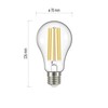 LED žárovka Filament A70, E27, 17W (150W), 2452lm, WW  LED žárovka Filament A70, E27, 17W (150W), 2452lm, WW  2