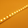 AMBER pásek 9,6W/m, 1800K, 10mm, PROFI, 24V, IP20, 120LED/m, 2835, 5let záruka 2