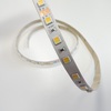 Zakázkový dvoubarevný LED pásek CCT 2v1, 5050 WW+CW, 19,2Wm, 10mm, IP20, 60LEDm, 24VDC 2
