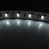 RGB+W+CW LED pásek 5v1, 19,6W/m, RGB+ Studená+ teplá bílá, 12mm, PROFI, 24V, IP20, 60LED/m 2