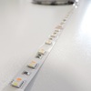 RGB+W+CW LED pásek 5v1, 19,6W/m, RGB+ Studená+ teplá bílá, 12mm, PROFI, 24V, IP20, 60LED/m 2