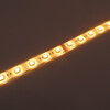 RGBW LED pásek 4v1, 19,2W/m, RGB+4200K, 10mm, PROFI, 24V, IP65, 60LED/m, 4040, 5let záruka 2