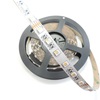RGBW LED pásek 4v1, 19,2W/m, RGB+bílá, 12mm, PROFI, 24V, IP20, 60LED/m, 5050 2