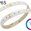 IP65 voděodolný LED pásek 10W, 120LED, CRI>90, 10mm, 2OZ, 300LSE, 24VDC, 3 roky záruka 2