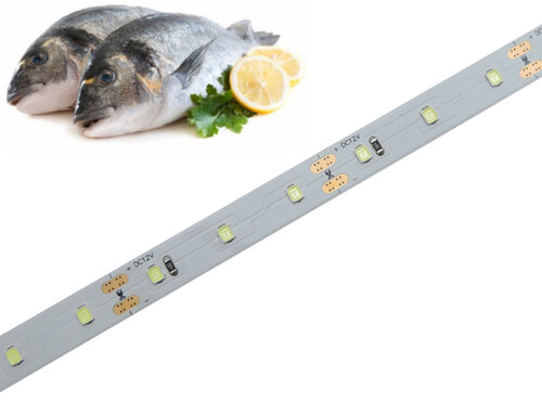 Potravinářský pásek: RYBY, 15000-25000K, 12W/m, PROFI, 12V, IP20, 60LED/m, SMD2835, záruka 5 let 1