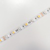 RGB+WW LED pásek, 14,4W/m, RGB+ teplá bílá, 10mm, PROFI, 12V, IP20, 60LED/m, 5050 2