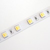 Zakázkový dvoubarevný LED pásek CCT 2v1, 5050 WW+CW, 19,2Wm, 10mm, IP20, 60LEDm, 24VDC 2