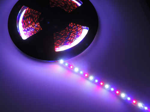 Akvarijní pásek 12W s plným spektrem,12V,  450nm+650nm+6500K 1