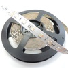 RGB+W+CW LED pásek 5v1, 19,6W/m, RGB+ Studená+ teplá bílá, 12mm, PROFI, 24V, IP20, 60LED/m 2