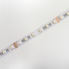 RGBW LED pásek 4v1, 19,2W/m, RGB+bílá, 12mm, PROFI, 24V, IP20, 60LED/m, 5050 2